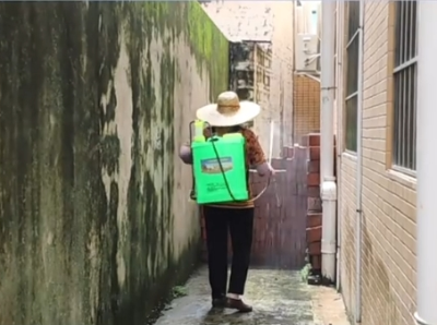 中山多镇街倡议：傍晚6至7时全镇点蚊香？有科学依据！