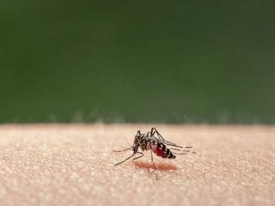 广州越秀出现基孔肯雅热病例，速查全市13家定点收治医院名单