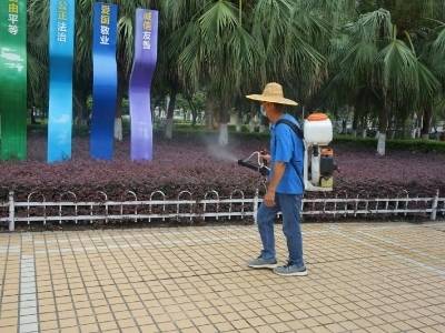 速看！禅城公布基孔肯雅热最新消息