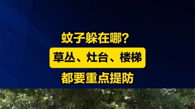 家里哪些地方最容易藏蚊子？