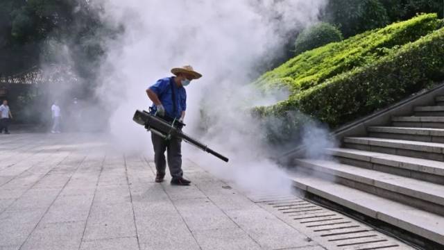 直击广州集中灭蚊现场，教你科学阻断基孔肯雅热传播链