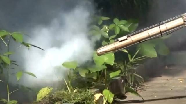 7月26日起，广州开展防蚊灭蚊攻坚行动