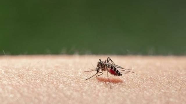 广州越秀出现基孔肯雅热病例，速查全市13家定点收治医院名单