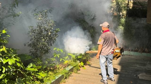 广州已现基孔肯雅热病例，将如何应对？