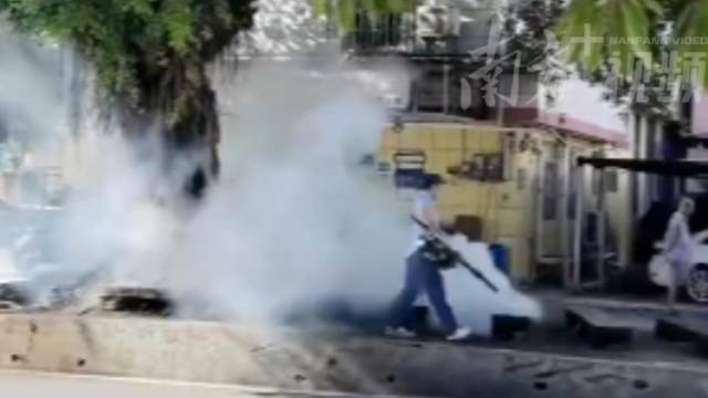 直击广州集中灭蚊现场：清积水、灭蚊虫