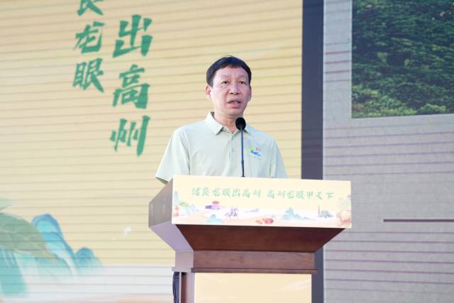 高州市农业农村局局长黄盛勋介绍2025年高州龙眼产业情况。过万