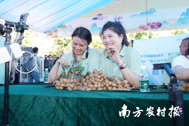 龙眼主产镇（街）推介展位与网红直播展位上，网红直播火热