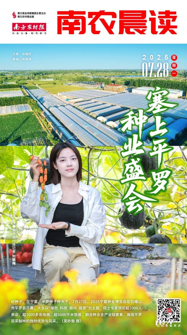 文化和旅游部：2025年上半年国内居民出游人次达到32.85亿