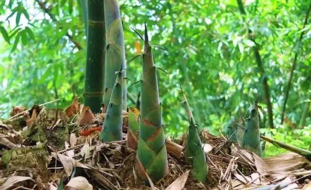 我市全力做好防汛备汛工作