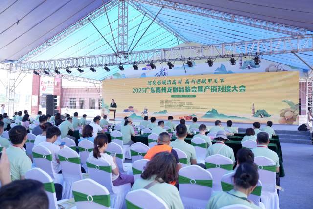 我市全力做好防汛备汛工作