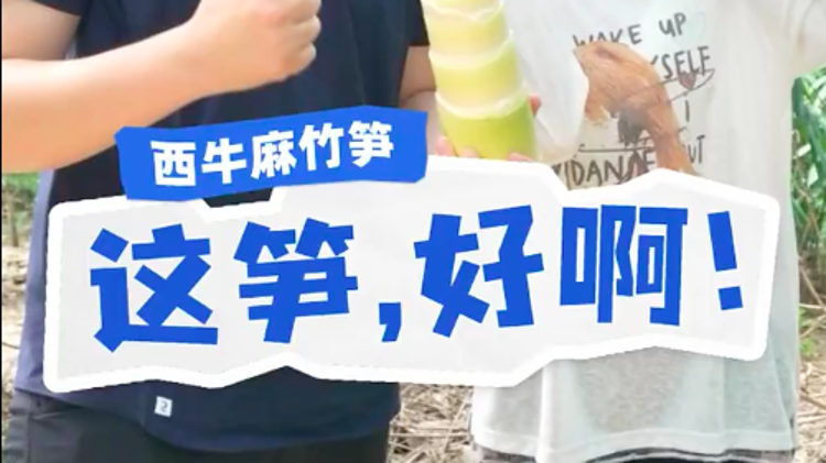 這筍，好呀！！