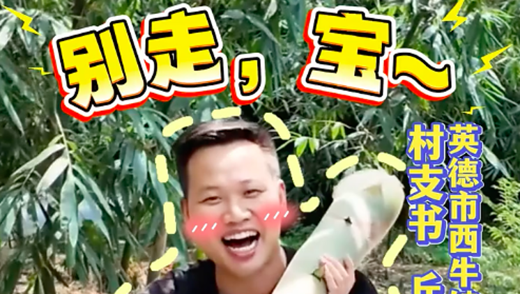 別走，寶～筍貨已經給你備好了