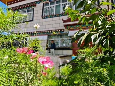 格桑花开处：西藏西嘎门巴村的安居路