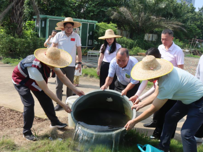 茂南区开展防蚊灭蚊行动，全民 “翻盆倒罐” 除隐患