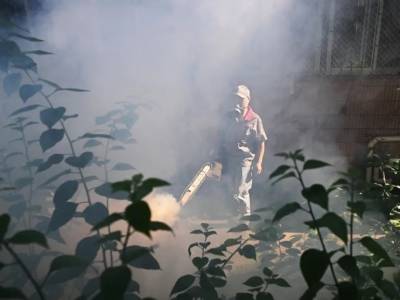 防蚊灭蚊，避免叮咬！这些基孔肯雅热防控要点快收好→