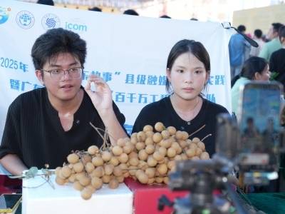 中医药x龙眼跨界融合，高州发力“药食同源”赛道