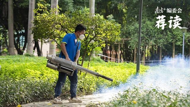 基孔肯雅热如何防？怎么治？ | 南方+编委会一周荐读