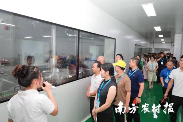 新股前瞻|歌尔微二递表:中国传感龙头如何破解大客户依赖与全球化挑战?