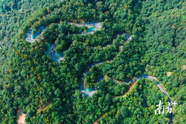     南方+ 王昌辉 拍摄