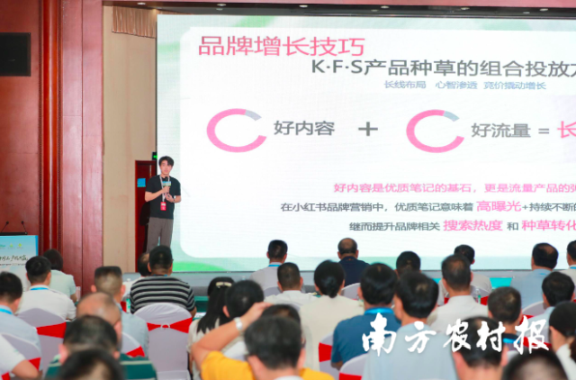 小红书电商赋能清远西牛麻竹笋计划发布