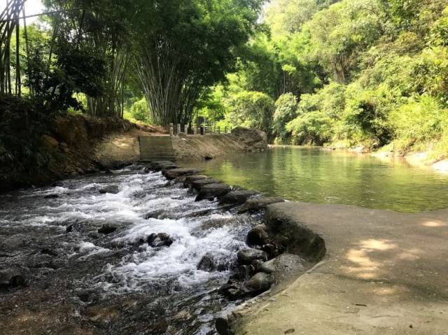 溪流涓涓流淌。黄绮雯 摄