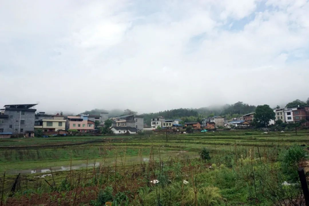 消失的17个女友，留下的39套房子_https://www.izongheng.net_人物_第14张
