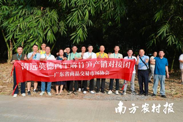 麻竹笋种植基地调研。