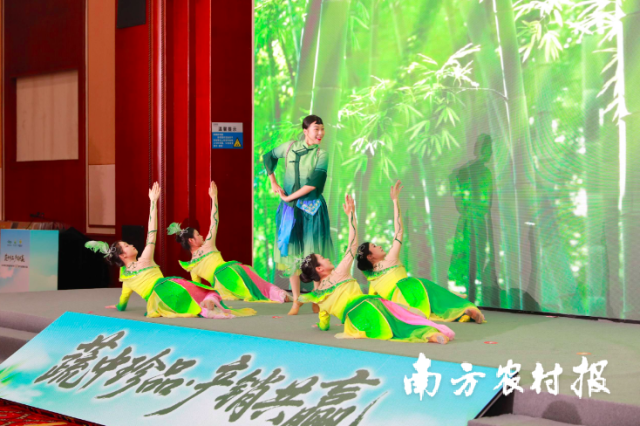 西牛麻竹笋主题舞蹈《采笋奇遇记》