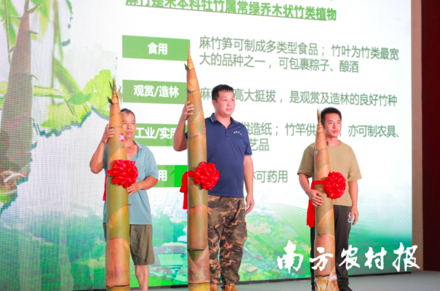 本次活动笋王争霸赛所评选出的“笋王”