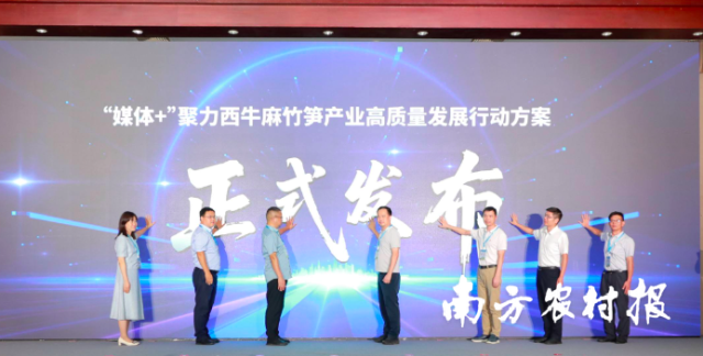 央广网广东站、南方农村报社、北大荒融媒体、清远日报社、清远市广播电视台、英德市融媒体中心等媒体代表共同发布了“媒体+”聚力西牛麻竹笋产业高质量发展行动方案