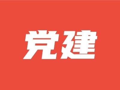 工行阳江分行与石上村党总支开展“双联双促”党建共建活动