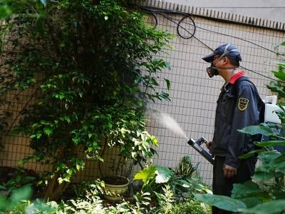 早晚两个时段关好门窗！广州启动统一灭蚊大行动