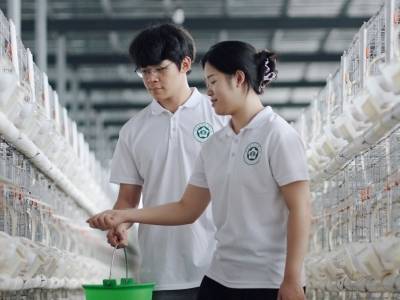 政校企协同攻坚，科技赋能“兴宁鸽”！广职大“冷智先锋”团队以智慧冷链技术助力“百千万工程”