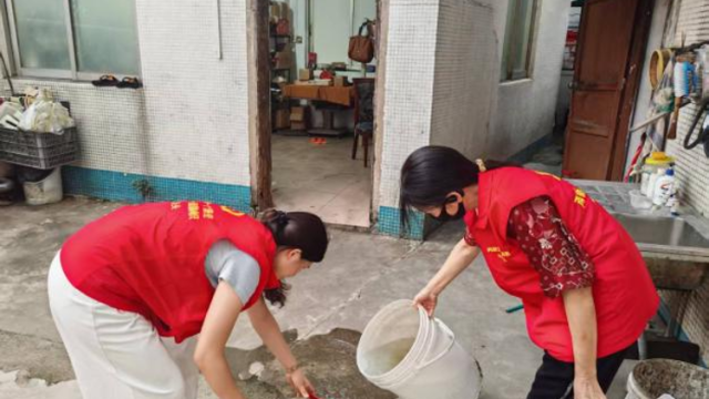 全市总动员，打响“防蚊战”｜中山“百千万”·每周荐