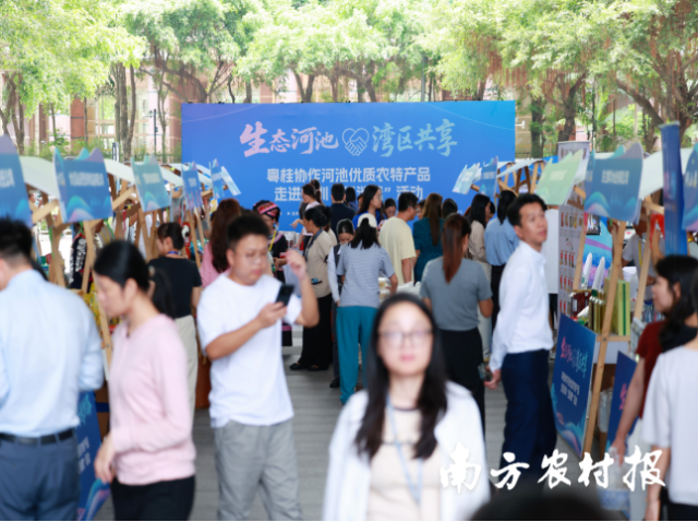 河池生态好物让深圳市民购买欲拉满。