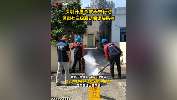 视频｜深圳开展杀蚊灭蚊行动，区街社三级联动保源头防控