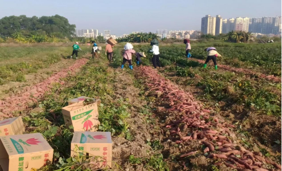医药中间体废水处理方案(制药企业污水怎么处理)
