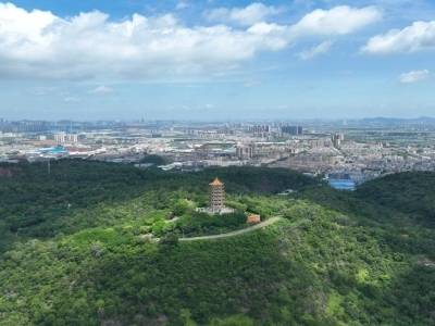“村BA”点燃夏日经济，南沙大岗文旅融合发展赋能“百千万工程”