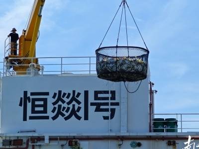 晨观山海 | 湛江“恒燚1号”首批渔获起捕上市