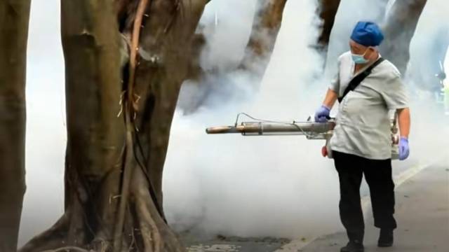 广州启动统一灭蚊大行动，早晚两个时段关好门窗