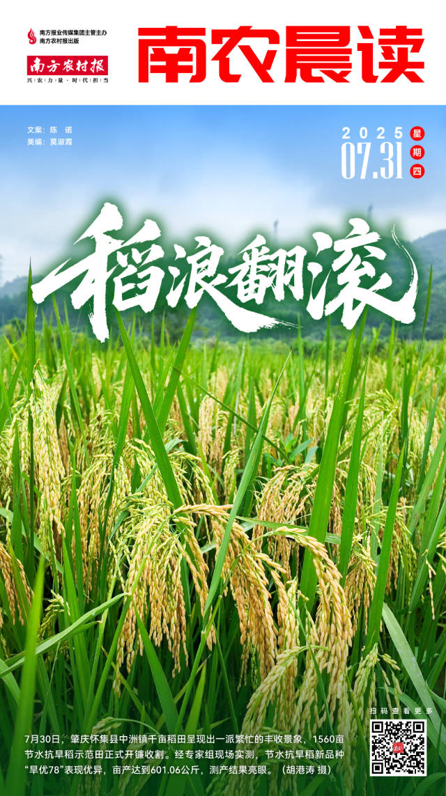 南方农村报 吴俊麒 制图