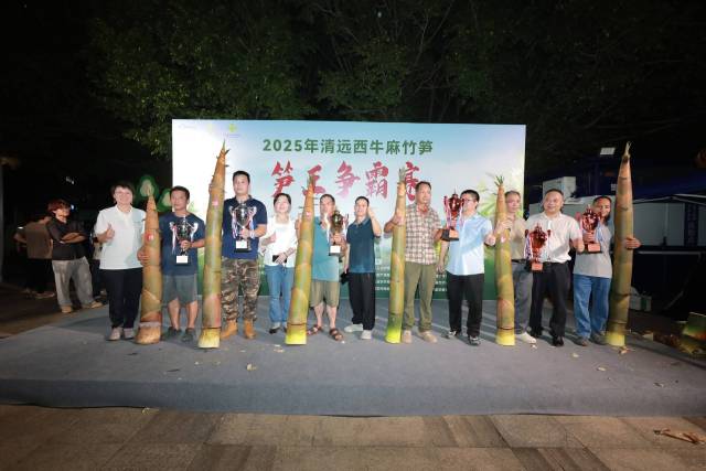 在笋王争霸赛上，获奖笋王比人还高。