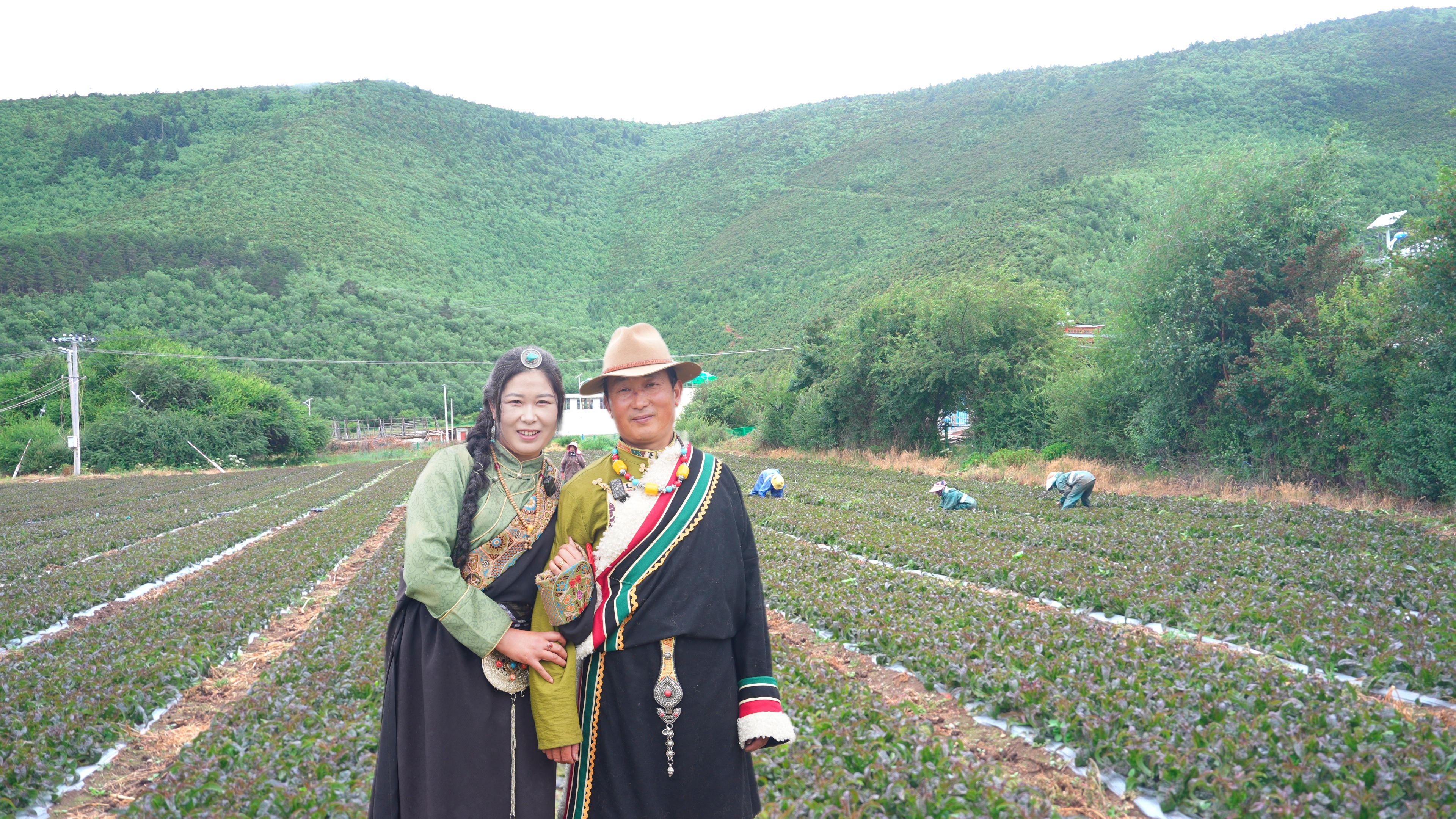 使用中国海油化学植物营养解决方案的服务水稻。给农作物的中国中国生长带来了不小的考验。今年，品质<strong>dota2 散弹</strong>