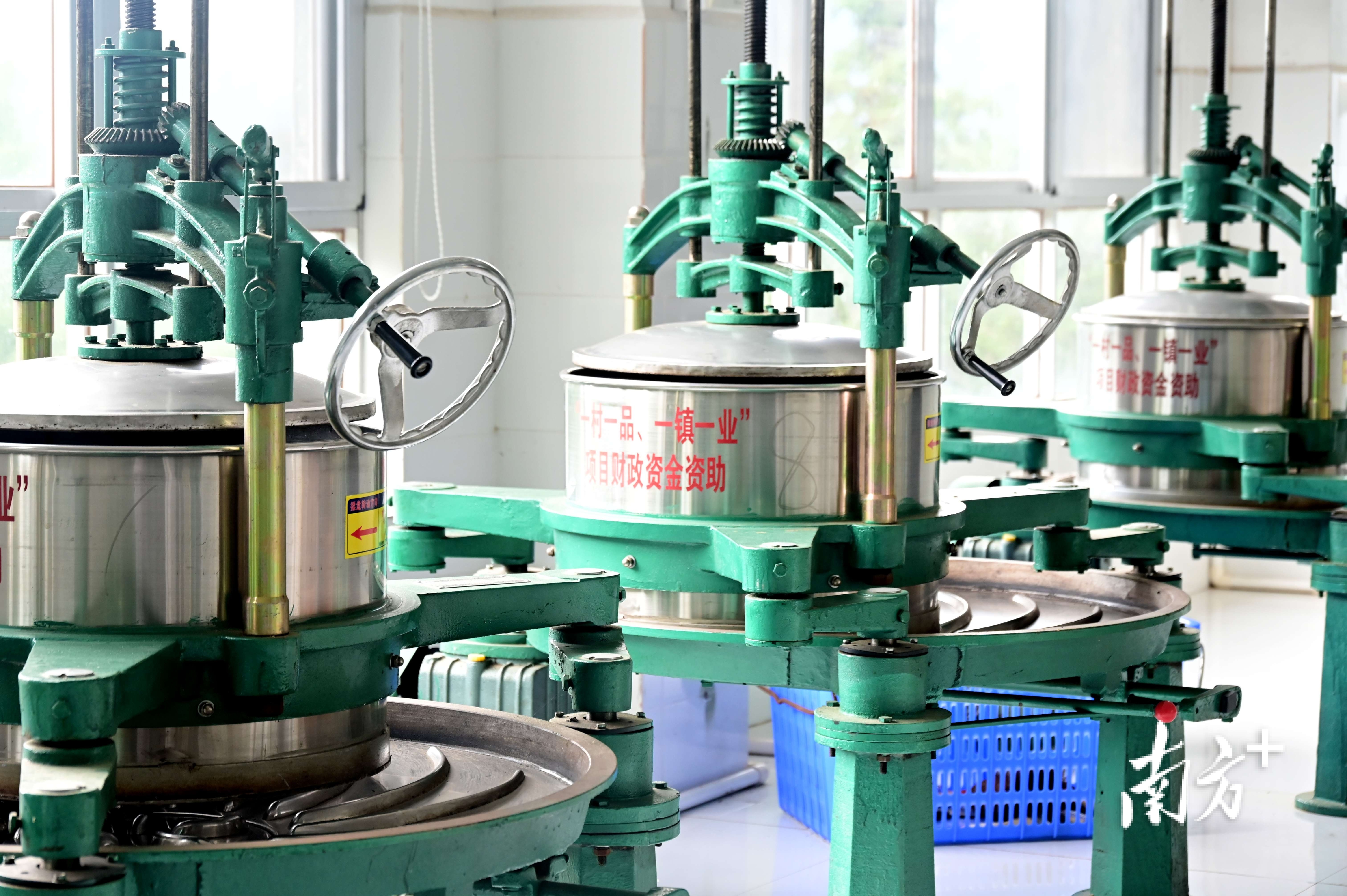 连州市瑶乡雾雪岭野生茶有限公司推行“公司＋合作社＋农户”模式，让茶农共享增值收益，为新农村建设注入强劲动能。黄滢 摄