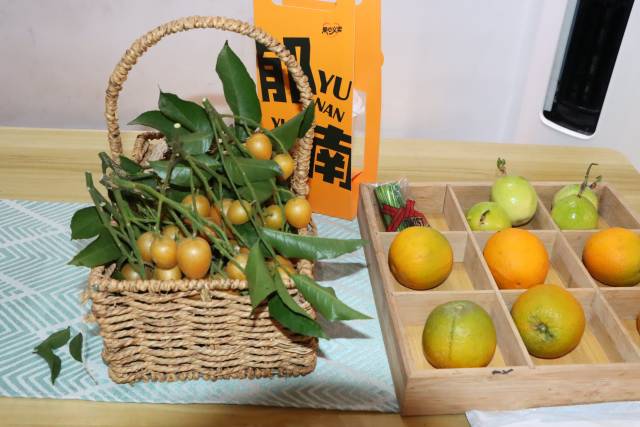 奶茶店里摆放着郁南无核黄皮等水果。摄影：张健珍