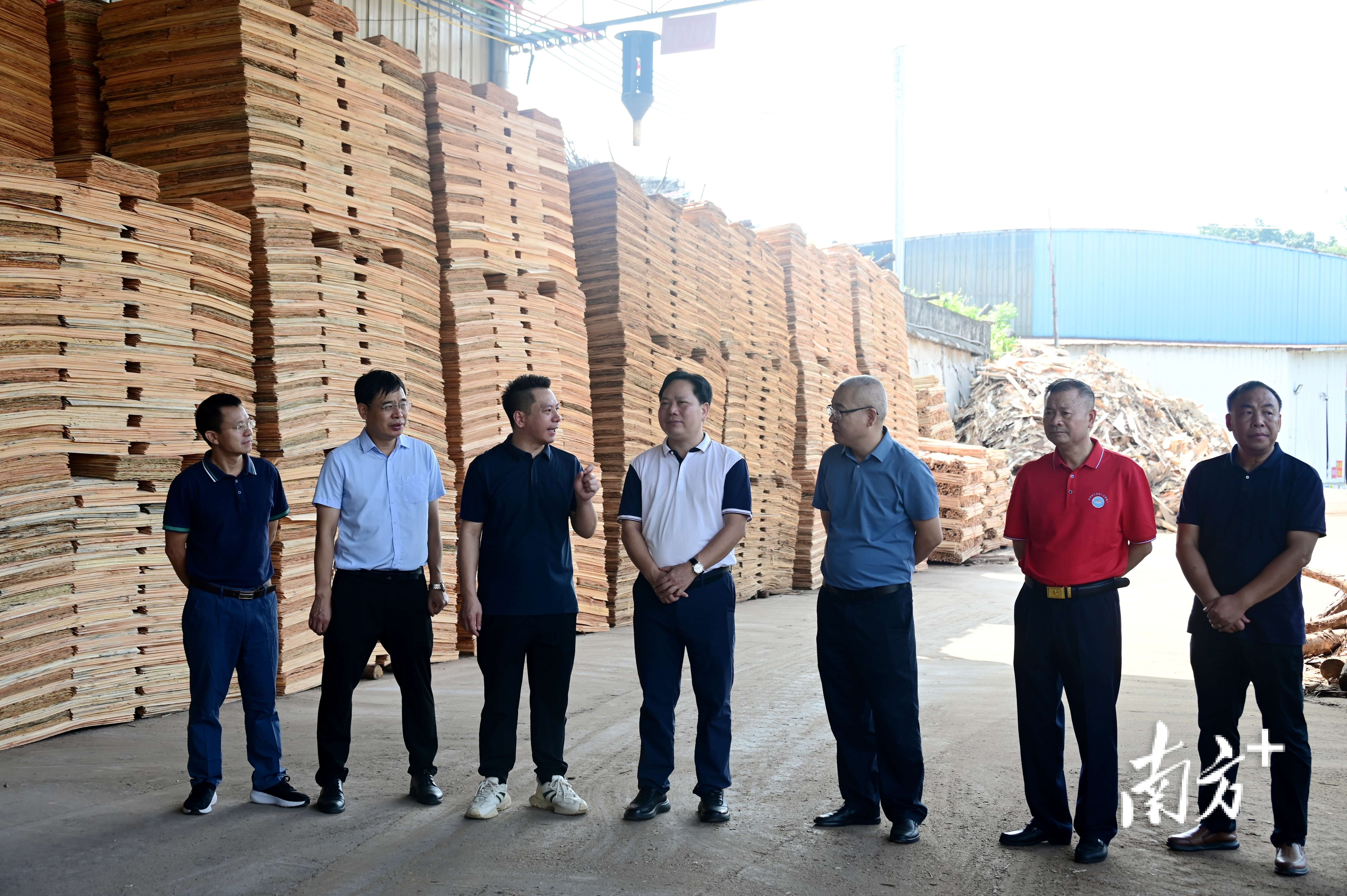 人大代表调研诺帝恩（广东）新能源材料有限公司。黄滢 摄