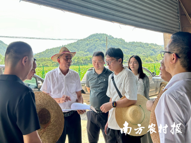 粤港澳大湾区采购商调研福融贝江源农业发展有限公司