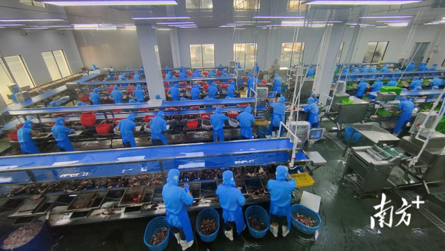 广东双洋食品科技有限公司加工车间。