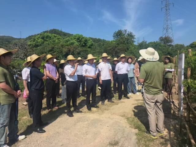 调研组了解“航天宝”技术应用。  受访者供图