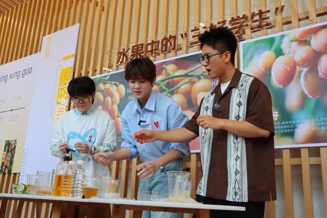 央视主持人高凡，歌手王靖雯、张星特制作无核黄皮柠檬茶。摄影：张健珍